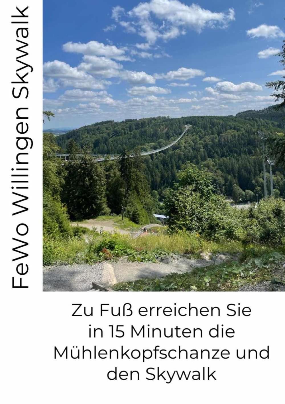 Fewo Skywalk Willingen Stryck Екстериор снимка