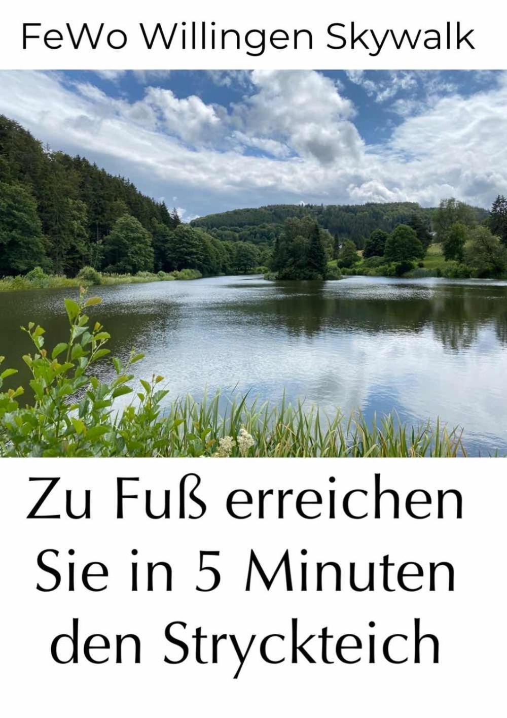 Fewo Skywalk Willingen Stryck Екстериор снимка